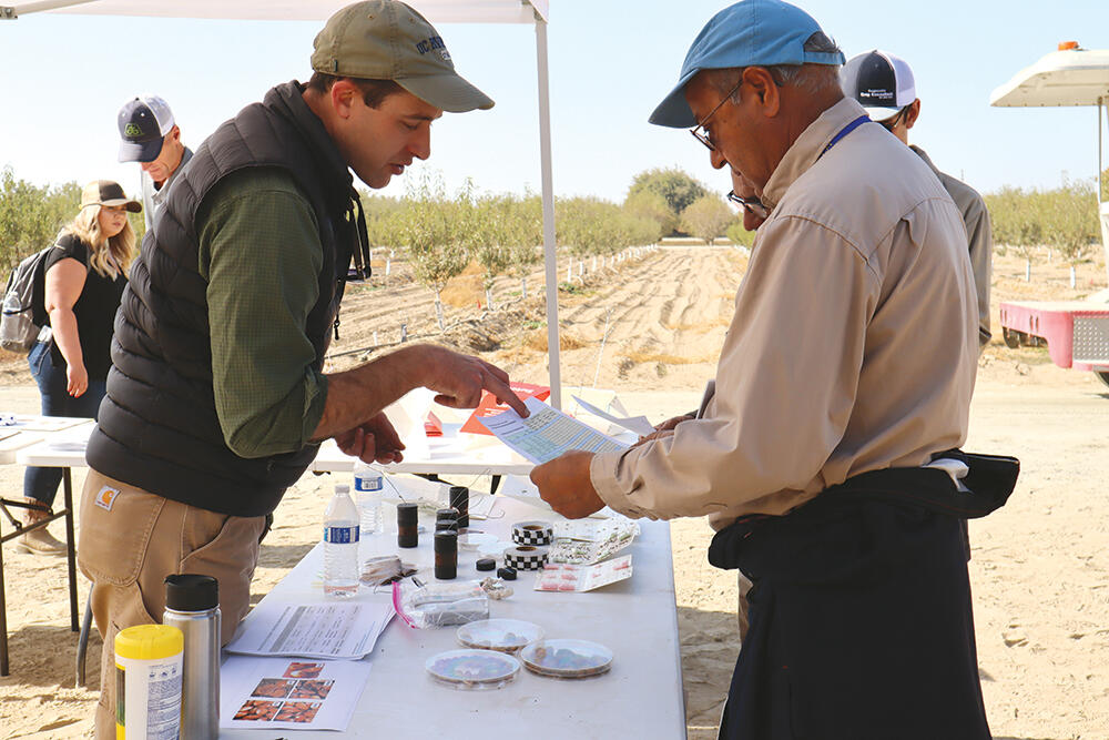 Two men discussing something outside under a shade tent
