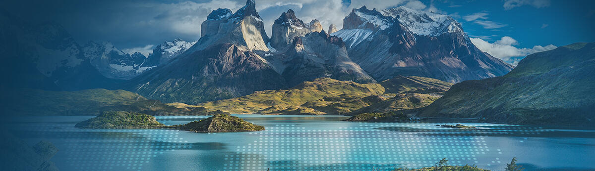 Half-Earth: How to Save the Natural World