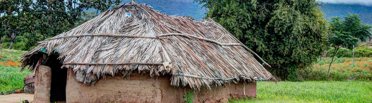 The World Until Yesterday What Can We Learn from Traditional Societies?