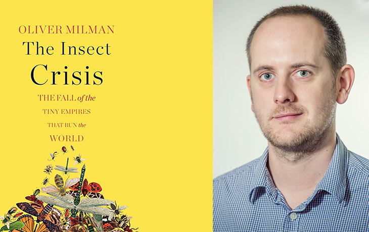 The Insect Crisis is a Human Crisis Oliver Milman