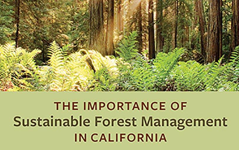The Importance of Sustainable Forest Management in California