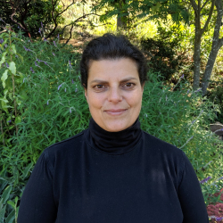 Jill Elfishawy