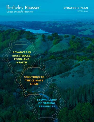Cover of Strategic Plan