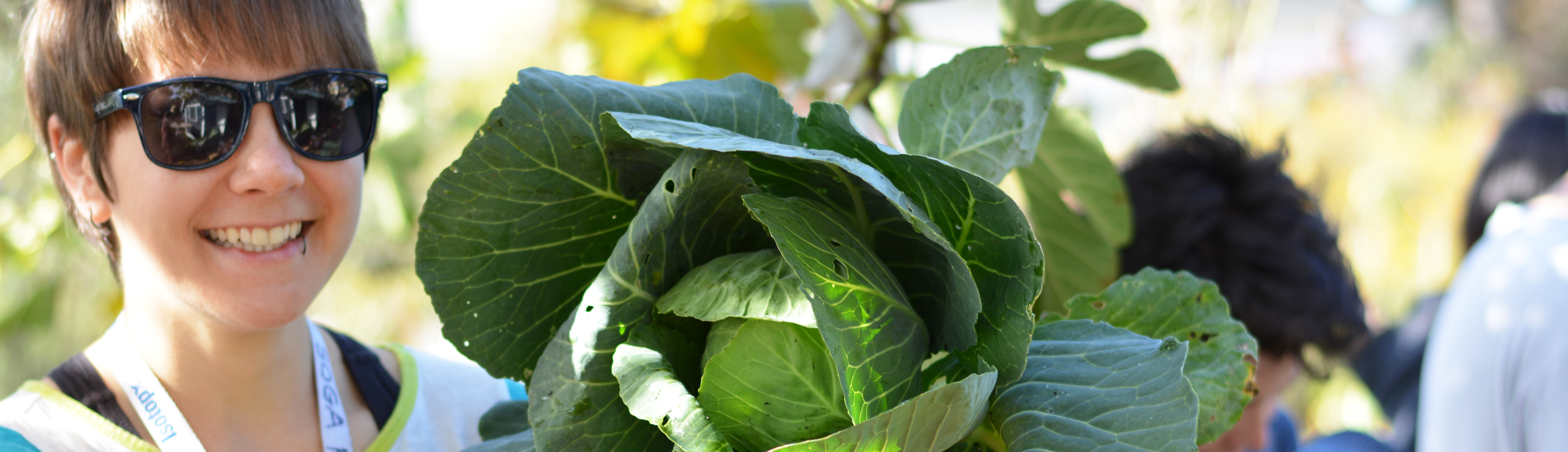 Image of student in garden holding cabbage