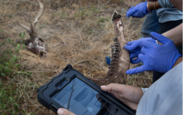 Photo of cluster investigation taken by Malia Byrtus