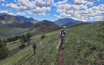 Image of student researchers in the field