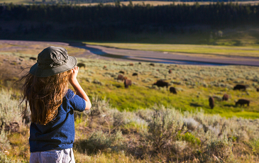 Image of a little kid using binoculars to view wildlife