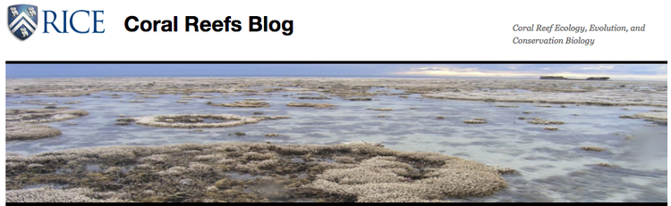 EBIO 372 Coral Reefs blog header