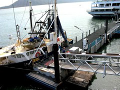 Unloading shrimp 1