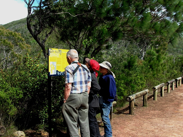 Mount Tozer Lookout