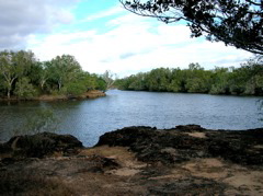 Campsite on the Kennedy River