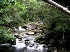 Mossman River